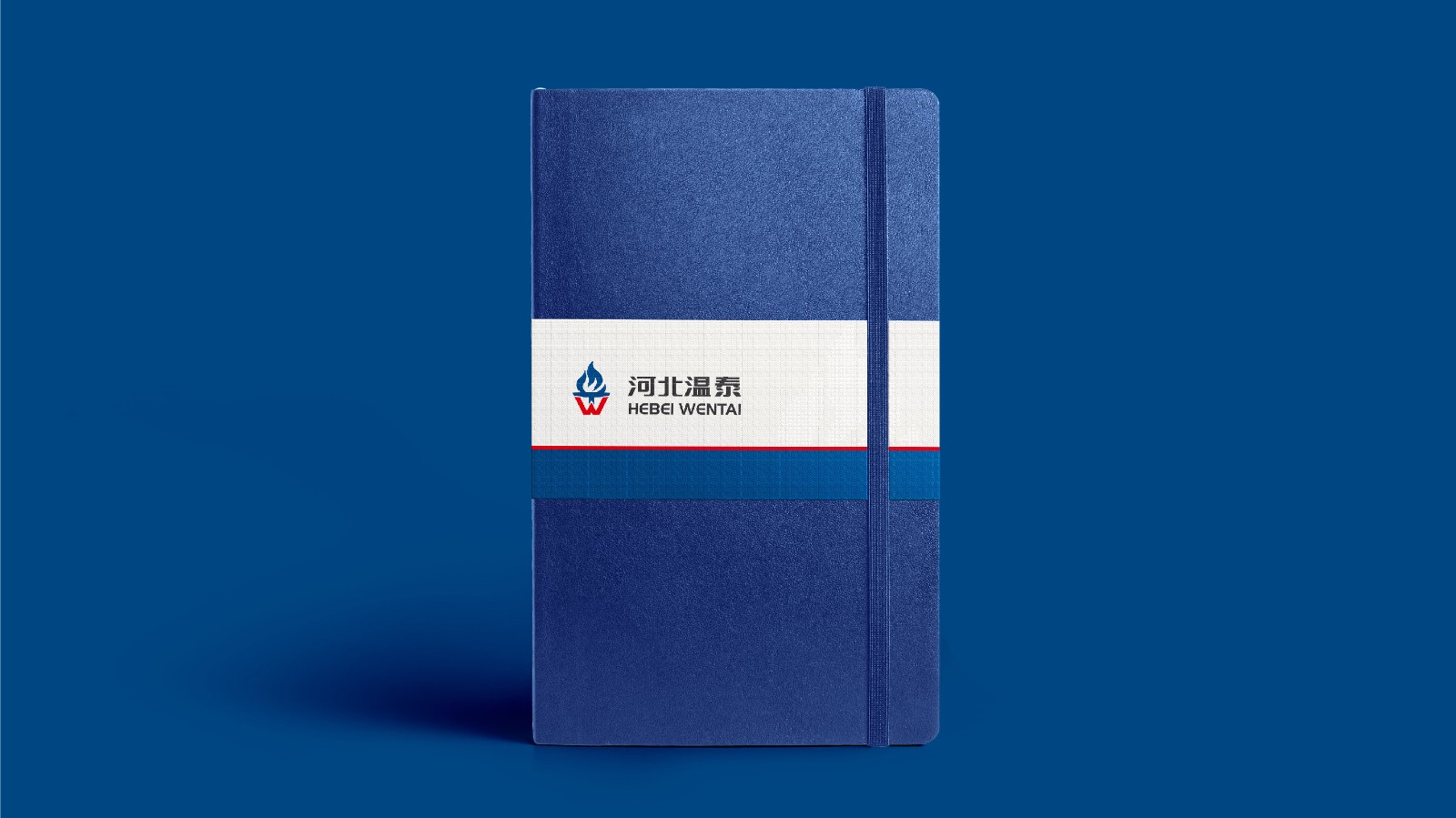 温尔泰品牌升级-28.jpg