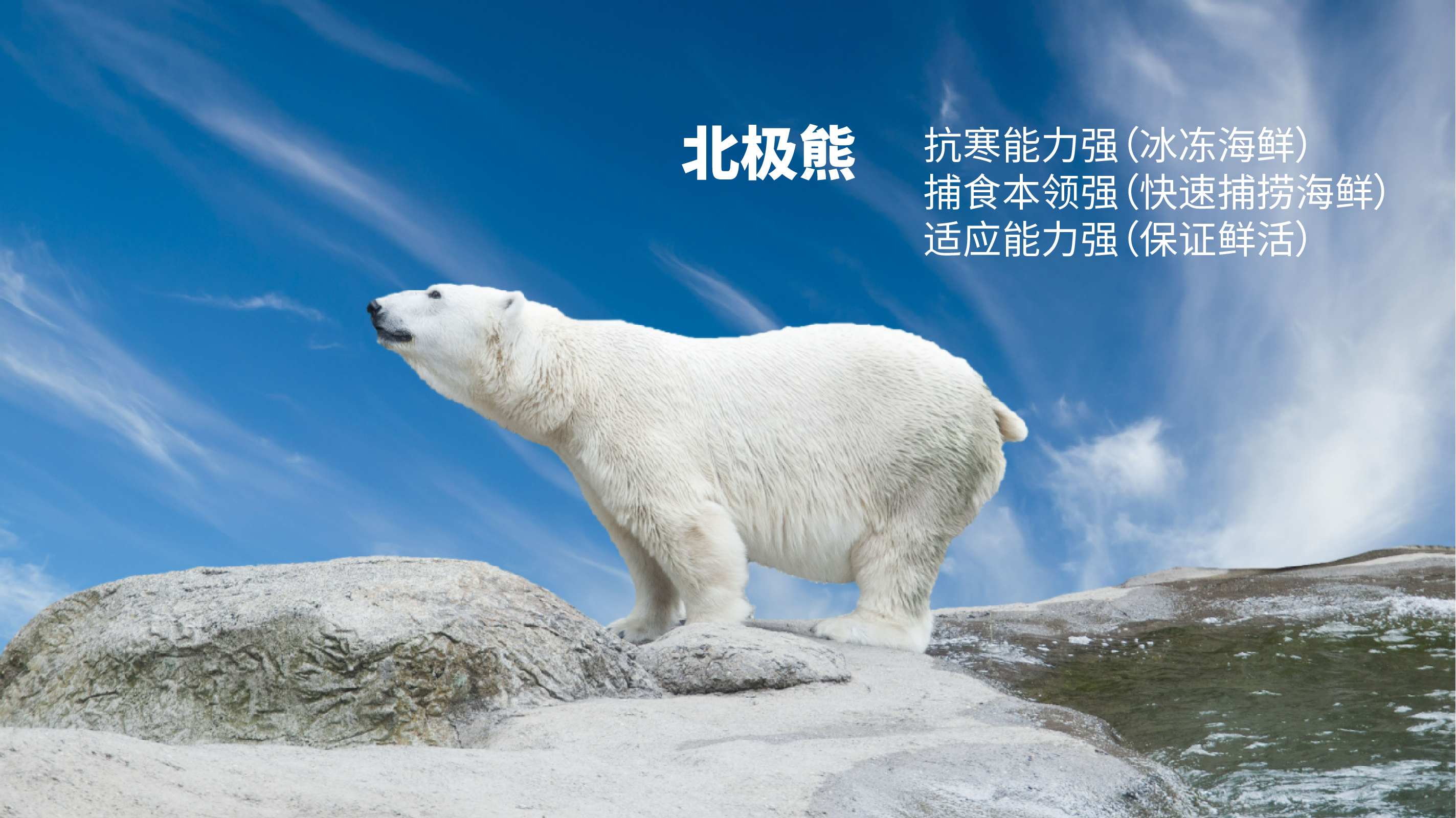 提案1-02.jpg